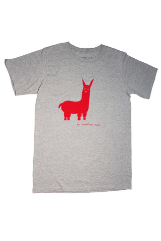 Paco The Llama T-Shirt